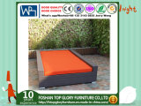 Outdoor Furniture PE Rattan Love Seat Garden Sofa