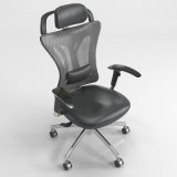 Ergonomic Mesh Office Chair with High Back