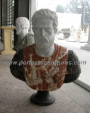 Stone Marble Sculpture Head Bust for Figurine Statue (SY-S272)