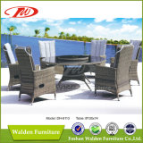 Hot Outdoor Garden Furniture Dining Set (DH-6113)