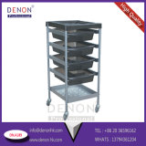 High Quality Hair Tool for Salon Equipment and Beauty Trolley (DN. A189)