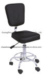 Convenience Use Stool Chair Master Chair of Beauty Equipment