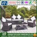 Foshan Furniture All Weather Furniture Outdoor Garden Sofa Design (TG-1507)