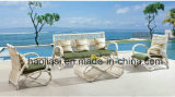 Outdoor /Rattan / Garden / Patio / Hotel Furniture Rattan Sofa HS1806