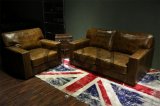 Genuine Leather Luxury Modern Home Leisure Living Room Sofa