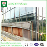 High Quality Venlo Structure Glass Greenhouse