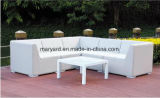 Foshan Garden/Patio Sofa Set for Outdoor