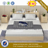 Best Price	 Double Size Synthetic Pull out Sofa Bed (HX-8nr1123)