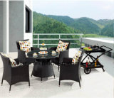 Outdoor /Rattan / Garden / Patio / Hotel Furniture Rattan Chair & Table Set HS 1709AC &HS 6203dt & HS 5003RC