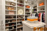 Walk in Closet with Tall Glass Front Shoe Cabinets (BY-W-32)