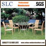 Modern Table and Chairs for Garden/ Rattan Furniture Dining Table (SC-B1011)