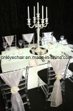 Crystal Acrylic Banquet Chair