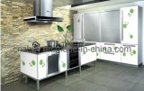 Kitchen Cabinet of Color Paniting UV Board & Cabinet Doors (ZH-C865)