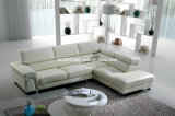 Living Room Genuine Leather Sofa (SBO-5933)