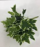 PE Variegated IVY Artificial Plant for Home Decoration (50037)