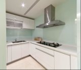 Modern Design Home Furniture Kitchen Cabinet Yb1709494