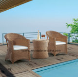 Small Round Sythetic Rattan Outdoor Garden Furniture Balcony Set by Chair &Ottoman&Side Table (YT291)