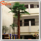 Evergreen Fiberglass Artificial Palm Tree for Decoration