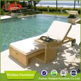 Rattan Furniture Outdoor Lounger (DH-9546)