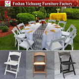 Modern Plastic Folding Garden Chair Yc-P12