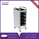 High Quality Hair Tool for Salon Equipment and Beauty Trolley (DN. A128)