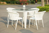 Outdoor Garden White Rattan Dining Table and Chairs (DS-06012W)