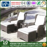 Outdoor Furniture Garden Sofa (TG-1510)