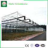 Agricultural Traditional Outdoor Aluminum Polycarbonate Greenhouse