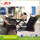 Luxury Rattan Garden Dining Chair and Table (DH-6072)