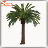 Garden Decoration Artificial Cycas Palm Tree Decorative Plant Tree