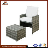 Backyard Home Furniture Rattan Sofa with Inside Table (WF053388)