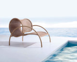 Cheap Rattan Furniture Chair/Recliner/Outdoor Lounger/Wicker Furniture
