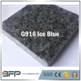 Ice Blue China Natural Stone Material Granite for Floor Tile