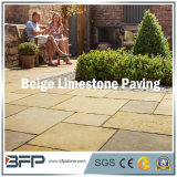 Beige Limestone Paving Stone Tiles for Landscape & Garden