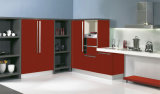 Modular Kitchen Cabinets for Home Decoration (ZH9615)