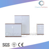 China Furniture Two Doors Office Wooden Cabinet (CAS-FC1802)