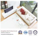 Modern Hotel Furniture with Wooden Living Room Furniture Set (YB-0704)