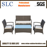 Promotion Rattan Sofa Set/Modern Garden Sofa (SC-A7428)
