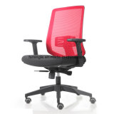 Modular Design of Plastic Orthopedic Chairs for Office Room