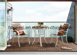 Outdoor /Rattan / Garden / Patio/ Hotel Furniture Polywood Furniture Chair & Table Set (HS3025C & HS 6123DT)