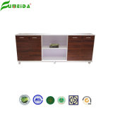 Modern Design Wooden File Office Storage Cabinet (AC22-2400)