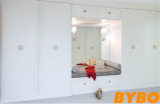 High Glossy Lacquer Finish Door Wardrobe (BY-W-94)