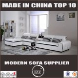 Modern Corner Sofa/Indoor Sofa Furniture/Sofa Design