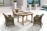 Outdoor Patio Wicker Teakwood Home Hotel Office Garden Rattan Tiangle Dining Table and Chair