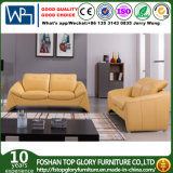 Modern Leather Sofa for Living Room Sofa Furniture Sofa (TG-S201)
