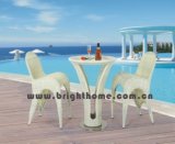 Outdoor Rattan Furniture (Seagull Series) (BP-904)