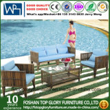 Modern Artificial Outdoor Garden Furniture Rattan Sofa (TG-017)