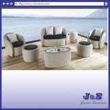 Outdoor Patio PE Wicker Sectional Sofa Set, Garden Rattan Furniture (J179)