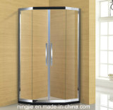 New Design Tempering Glass Shower Door (022H)