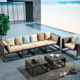New Hotel Deisgn Patio Garden Furniture Living Sofa Set with Club Chair (YT545)